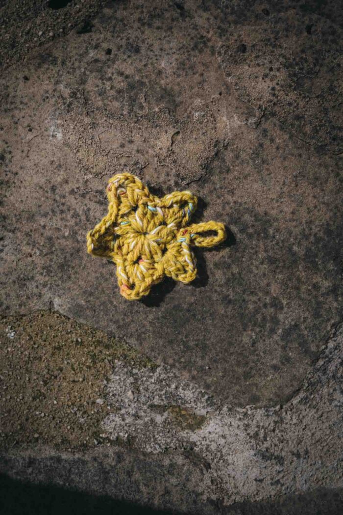 Detalls de ganxet - Imatge 2